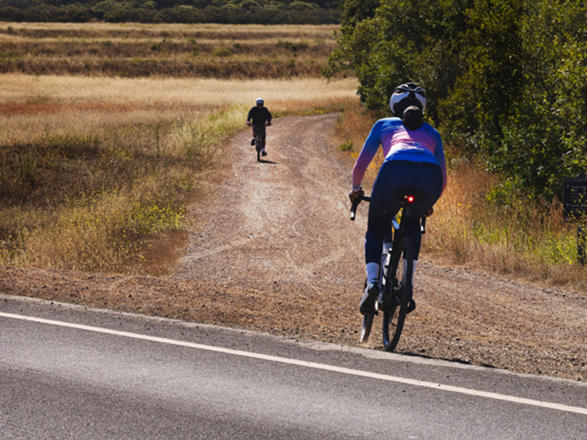 Trek Domane